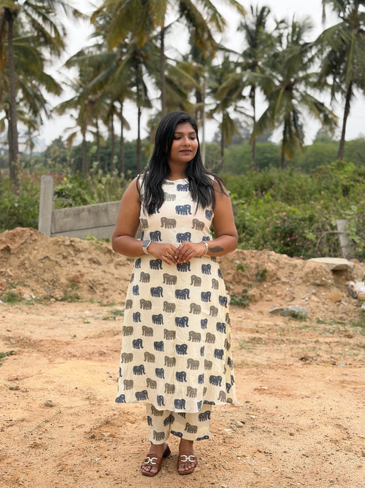 Niral White Co-ord Set